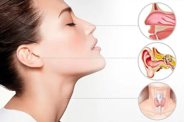 Dr Nikita Iyer Services